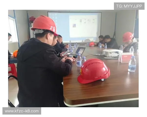 凯发电游网址官方入口稳定性分析与安全保障措施详解